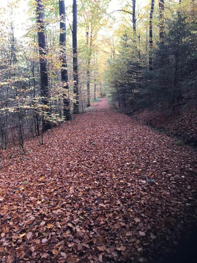 Appartamento Weite Blicke In Horn Esterno foto